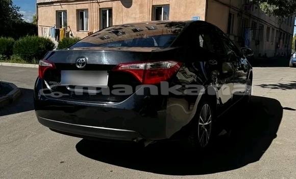 Buy Used Toyota Corolla Other Car in Bihvinta in Abhasia Buy Used Toyota Corolla Other Car in Bihvinta in Abhasia
