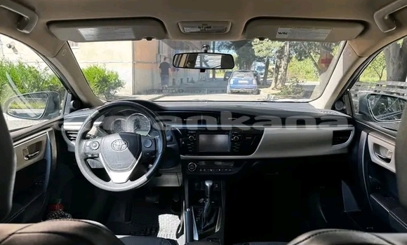 Buy Used Toyota Corolla Other Car in Bihvinta in Abhasia Buy Used Toyota Corolla Other Car in Bihvinta in Abhasia