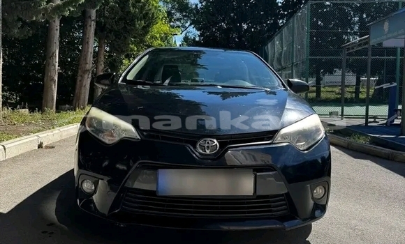 Buy Used Toyota Corolla Other Car in Bihvinta in Abhasia Buy Used Toyota Corolla Other Car in Bihvinta in Abhasia