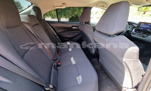 Buy Used Toyota Corolla Other Car in Tbilisi in Tbilisi Buy Used Toyota Corolla Other Car in Tbilisi in Tbilisi
