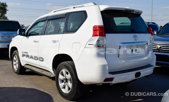 Buy Import Toyota Prado White Car in Import - Dubai in Abhasia Buy Import Toyota Prado White Car in Import - Dubai in Abhasia