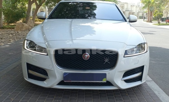 Buy Used Jaguar XF White Car in Rustavi in Tbilisi Buy Used Jaguar XF White Car in Rustavi in Tbilisi