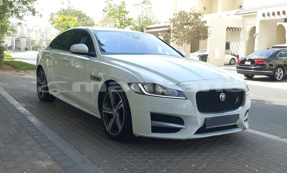Buy Used Jaguar XF White Car in Rustavi in Tbilisi Buy Used Jaguar XF White Car in Rustavi in Tbilisi
