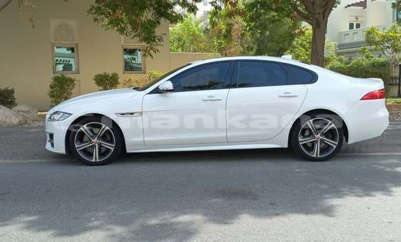 Buy Used Jaguar XF White Car in Rustavi in Tbilisi Buy Used Jaguar XF White Car in Rustavi in Tbilisi