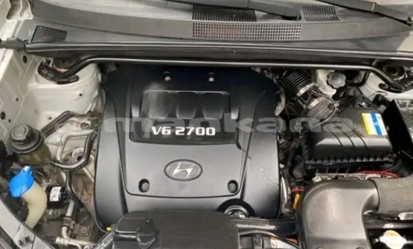 Buy Used Hyundai Tucson Other Car in Bagdadi in Imereti