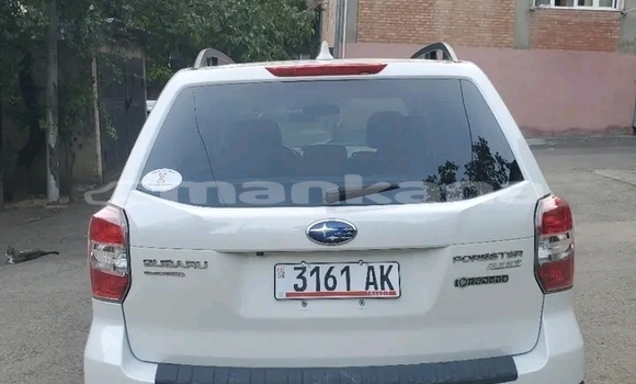 Buy Used Subaru Forester Other Car in Batumi in Ajaria Buy Used Subaru Forester Other Car in Batumi in Ajaria