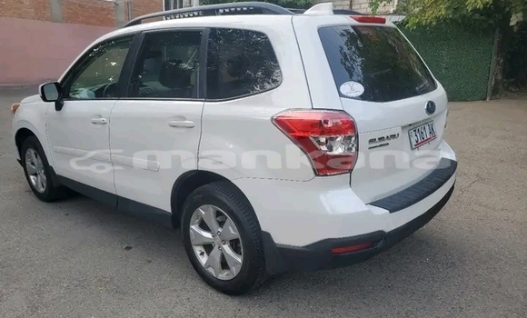 Buy Used Subaru Forester Other Car in Batumi in Ajaria Buy Used Subaru Forester Other Car in Batumi in Ajaria