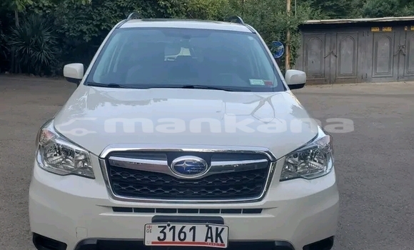 Buy Used Subaru Forester Other Car in Batumi in Ajaria Buy Used Subaru Forester Other Car in Batumi in Ajaria