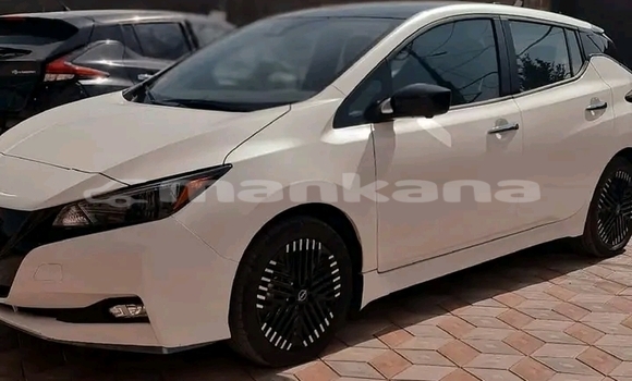Buy Used Nissan Leaf White Car in Batumi in Ajaria Buy Used Nissan Leaf White Car in Batumi in Ajaria