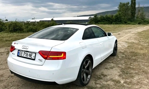 Buy Used BMW M2 White Car in Borzhomi in Samche-Zhavaheti Buy Used BMW M2 White Car in Borzhomi in Samche-Zhavaheti