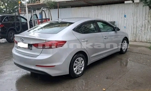 Buy Used Hyundai Elantra Other Car in Honi in Imereti Buy Used Hyundai Elantra Other Car in Honi in Imereti
