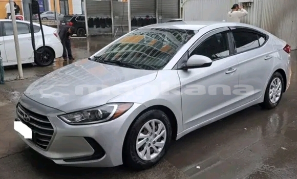 Buy Used Hyundai Elantra Other Car in Honi in Imereti Buy Used Hyundai Elantra Other Car in Honi in Imereti