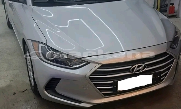 Buy Used Hyundai Elantra Other Car in Honi in Imereti Buy Used Hyundai Elantra Other Car in Honi in Imereti