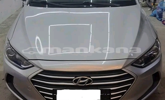Buy Used Hyundai Elantra Other Car in Honi in Imereti Buy Used Hyundai Elantra Other Car in Honi in Imereti