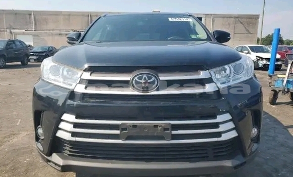 Buy Used Toyota Highlander Black Car in Gulripshi in Abhasia Buy Used Toyota Highlander Black Car in Gulripshi in Abhasia