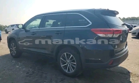 Buy Used Toyota Highlander Black Car in Gulripshi in Abhasia Buy Used Toyota Highlander Black Car in Gulripshi in Abhasia