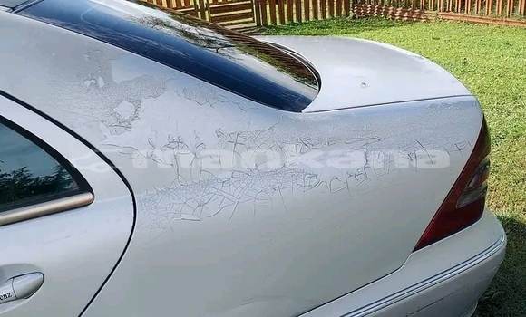 Buy Used Toyota Corolla Other Car in Mahindzhauri in Ajaria Buy Used Toyota Corolla Other Car in Mahindzhauri in Ajaria