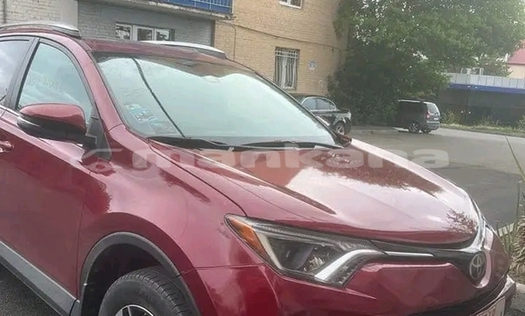 Buy Used Toyota RAV4 Red Car in Gali in Abhasia Buy Used Toyota RAV4 Red Car in Gali in Abhasia