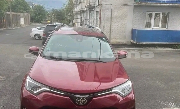 Buy Used Toyota RAV4 Red Car in Gali in Abhasia Buy Used Toyota RAV4 Red Car in Gali in Abhasia