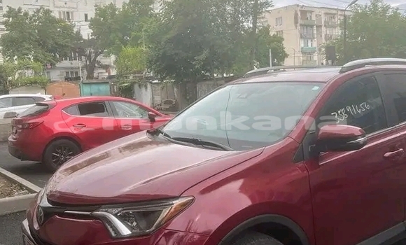 Buy Used Toyota RAV4 Red Car in Gali in Abhasia Buy Used Toyota RAV4 Red Car in Gali in Abhasia