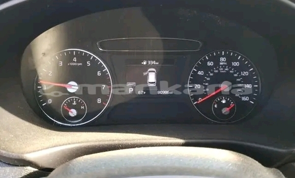 Buy Used Kia Sorento White Car in Batumi in Ajaria Buy Used Kia Sorento White Car in Batumi in Ajaria