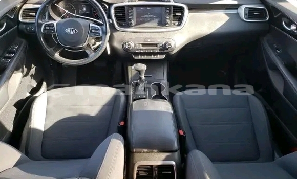Buy Used Kia Sorento White Car in Batumi in Ajaria Buy Used Kia Sorento White Car in Batumi in Ajaria