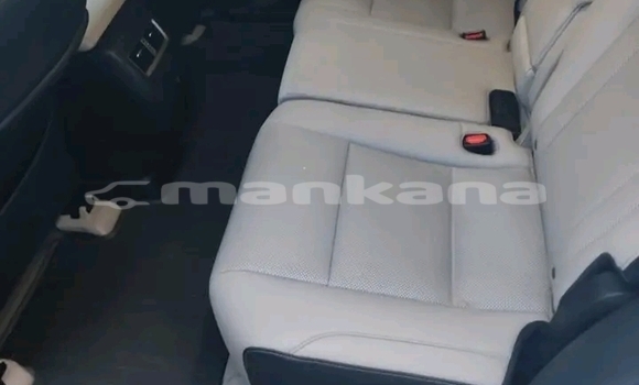 Buy Used Lexus RX 350 White Car in Gagra in Abhasia Buy Used Lexus RX 350 White Car in Gagra in Abhasia