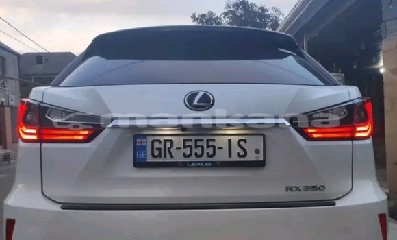 Buy Used Lexus RX 350 White Car in Gagra in Abhasia Buy Used Lexus RX 350 White Car in Gagra in Abhasia