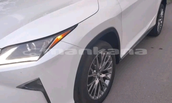 Buy Used Lexus RX 350 White Car in Gagra in Abhasia Buy Used Lexus RX 350 White Car in Gagra in Abhasia
