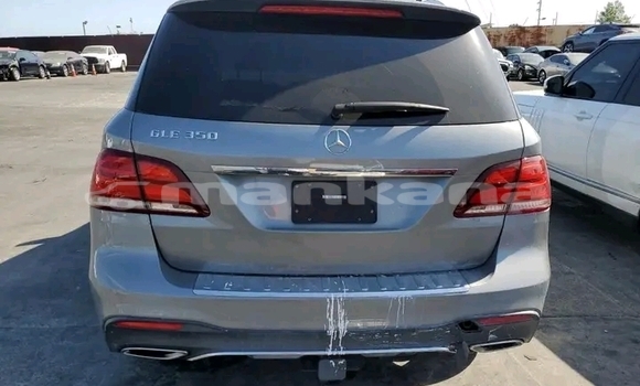 Buy Used Mercedes-Benz GLK–Class Other Car in Batumi in Ajaria Buy Used Mercedes-Benz GLK–Class Other Car in Batumi in Ajaria
