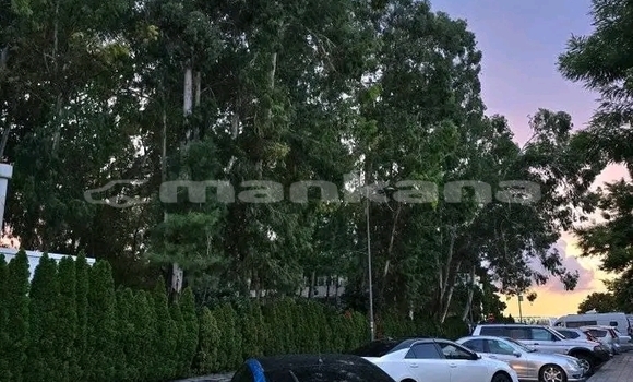 Buy Used BMW X2 Other Car in Ahmeta in Kaheti Buy Used BMW X2 Other Car in Ahmeta in Kaheti