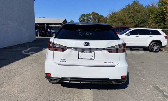 Buy Used Lexus RX 350 White Car in Tbilisi in Tbilisi Buy Used Lexus RX 350 White Car in Tbilisi in Tbilisi
