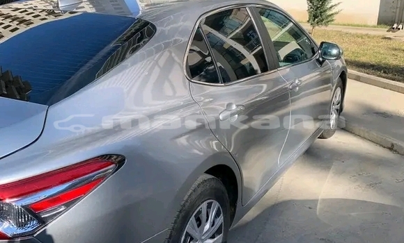 Buy Used Toyota Camry Other Car in Dusheti in Mcheta-Mtianeti Buy Used Toyota Camry Other Car in Dusheti in Mcheta-Mtianeti