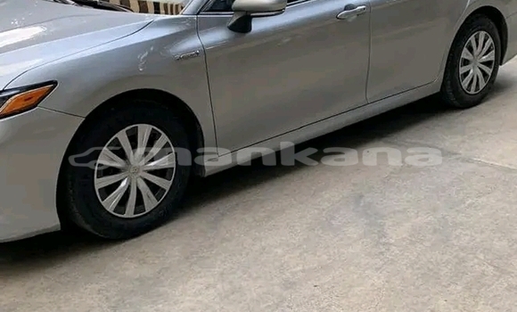 Buy Used Toyota Camry Other Car in Dusheti in Mcheta-Mtianeti Buy Used Toyota Camry Other Car in Dusheti in Mcheta-Mtianeti