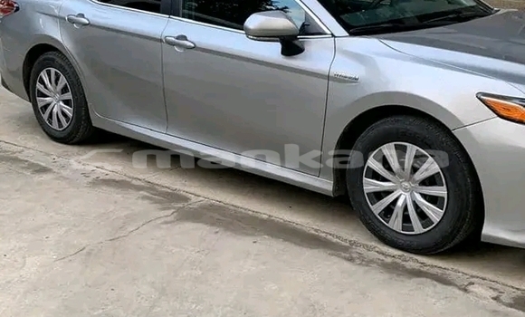 Buy Used Toyota Camry Other Car in Dusheti in Mcheta-Mtianeti Buy Used Toyota Camry Other Car in Dusheti in Mcheta-Mtianeti