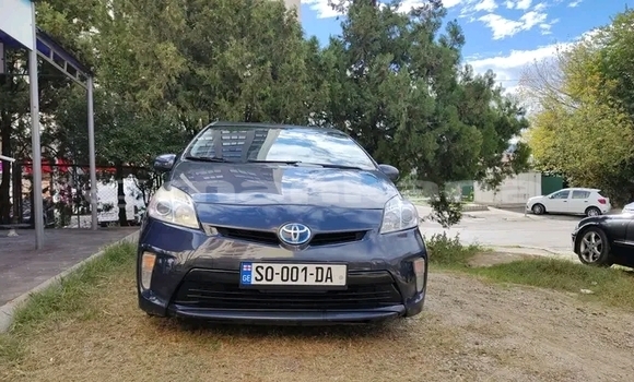 Buy Used Toyota Prius Other Car in Bihvinta in Abhasia Buy Used Toyota Prius Other Car in Bihvinta in Abhasia