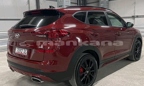 Buy Used Hyundai Tucson Red Car in Oni in Racha Buy Used Hyundai Tucson Red Car in Oni in Racha