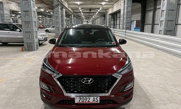 Buy Used Hyundai Tucson Red Car in Oni in Racha Buy Used Hyundai Tucson Red Car in Oni in Racha