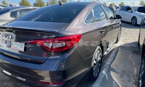 Buy Used Hyundai Elantra Other Car in Gurdzhaani in Kaheti Buy Used Hyundai Elantra Other Car in Gurdzhaani in Kaheti