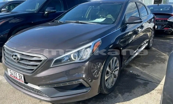 Buy Used Hyundai Elantra Other Car in Gurdzhaani in Kaheti Buy Used Hyundai Elantra Other Car in Gurdzhaani in Kaheti