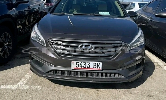 Buy Used Hyundai Elantra Other Car in Gurdzhaani in Kaheti Buy Used Hyundai Elantra Other Car in Gurdzhaani in Kaheti