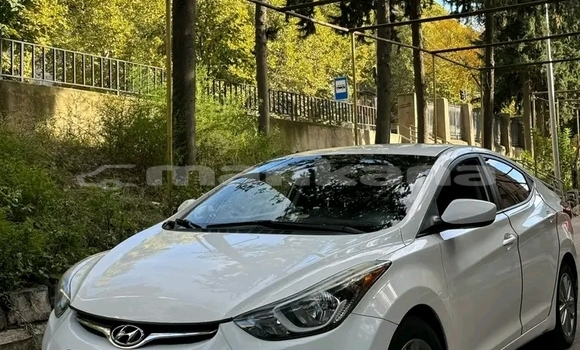 Buy Used Hyundai Elantra White Car in Kutaisi in Imereti Buy Used Hyundai Elantra White Car in Kutaisi in Imereti