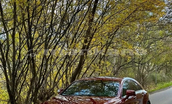 Buy Used Hyundai Elantra Red Car in Gagra in Abhasia Buy Used Hyundai Elantra Red Car in Gagra in Abhasia