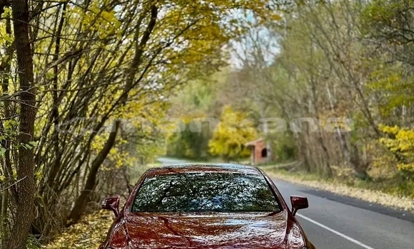 Buy Used Hyundai Elantra Red Car in Gagra in Abhasia Buy Used Hyundai Elantra Red Car in Gagra in Abhasia