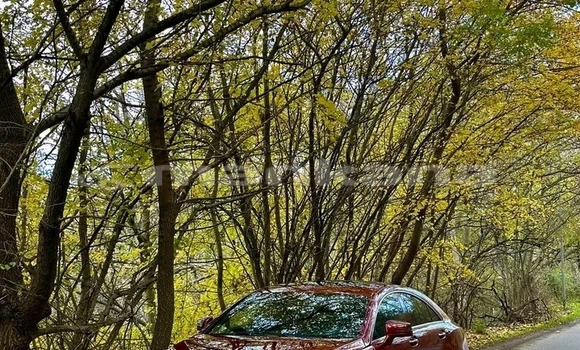 Buy Used Hyundai Elantra Red Car in Gagra in Abhasia Buy Used Hyundai Elantra Red Car in Gagra in Abhasia