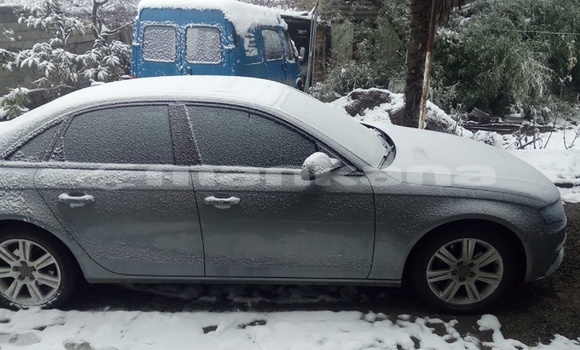 Buy Used Audi A4 Silver Car in Tbilisi in Tbilisi Buy Used Audi A4 Silver Car in Tbilisi in Tbilisi