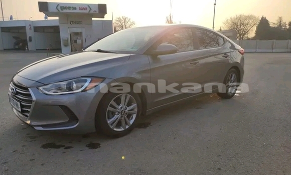 Buy Used Hyundai Elantra Other Car in Batumi in Ajaria Buy Used Hyundai Elantra Other Car in Batumi in Ajaria