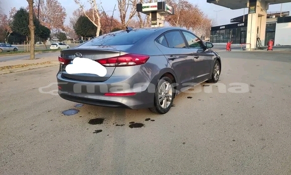 Buy Used Hyundai Elantra Other Car in Batumi in Ajaria Buy Used Hyundai Elantra Other Car in Batumi in Ajaria