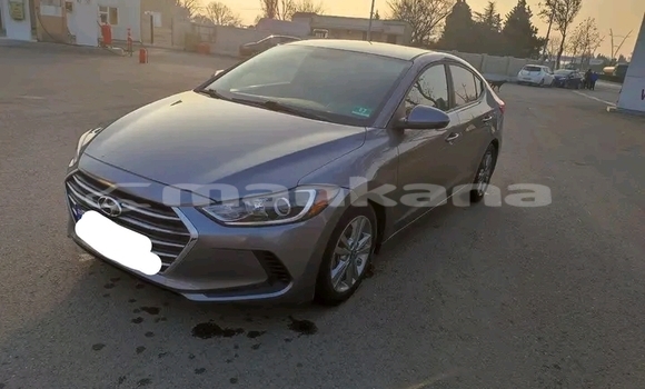 Buy Used Hyundai Elantra Other Car in Batumi in Ajaria Buy Used Hyundai Elantra Other Car in Batumi in Ajaria