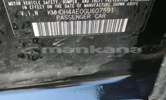 Buy Used Hyundai Elantra Other Car in Gagra in Abhasia Buy Used Hyundai Elantra Other Car in Gagra in Abhasia